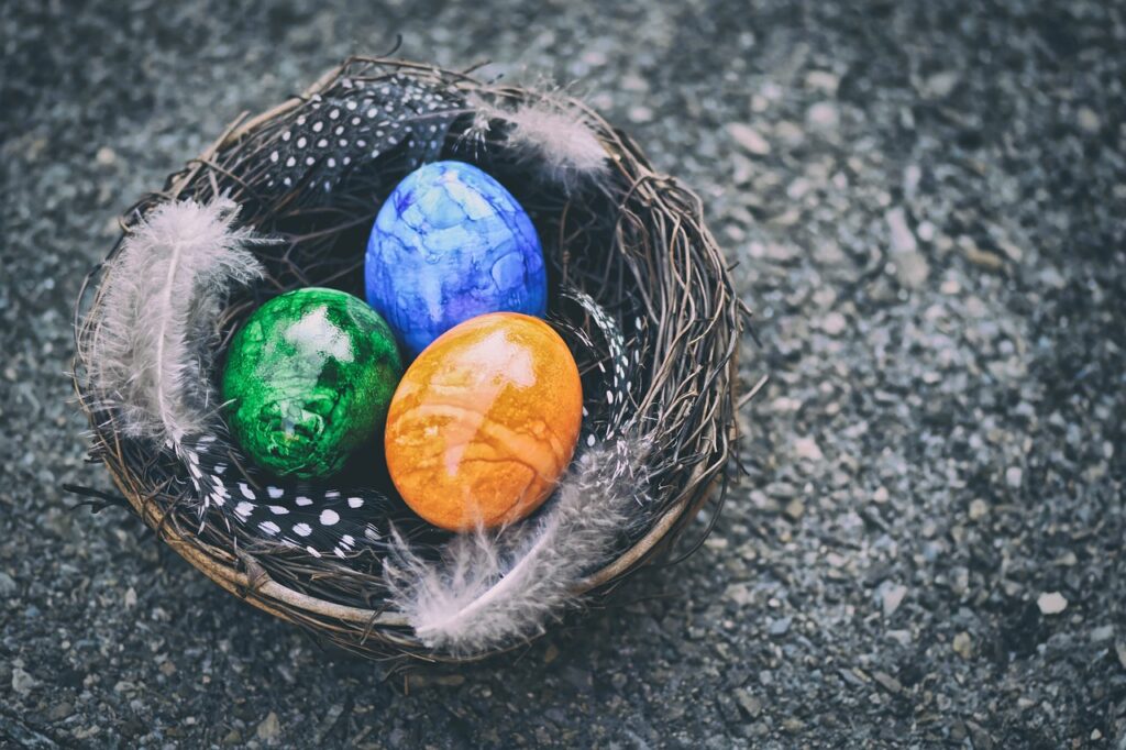 Photo of a birds nest containing three colorful eggs